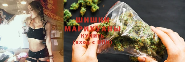 соль ск Дмитриев