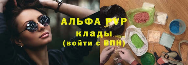 соль ск Дмитриев