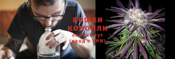соль ск Дмитриев