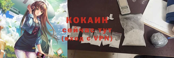 соль ск Дмитриев