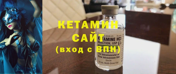 соль ск Дмитриев