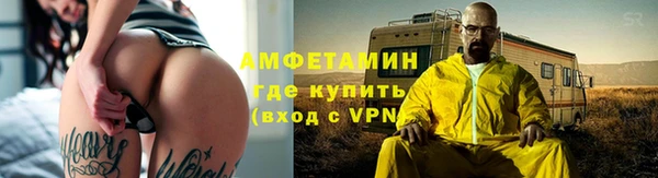 соль ск Дмитриев