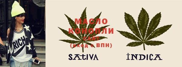 соль ск Дмитриев