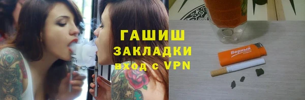 соль ск Дмитриев