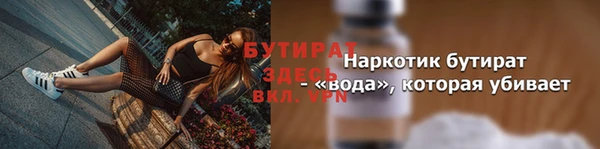 соль ск Дмитриев