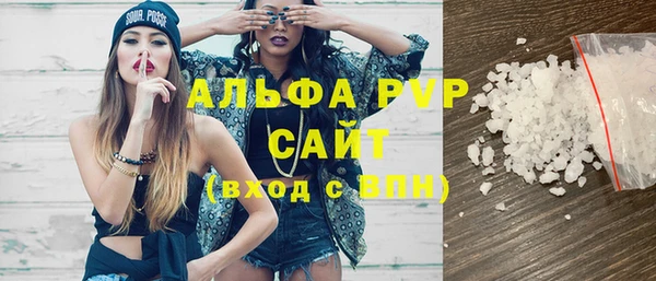 соль ск Дмитриев