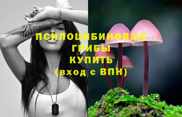 мдма Дмитров