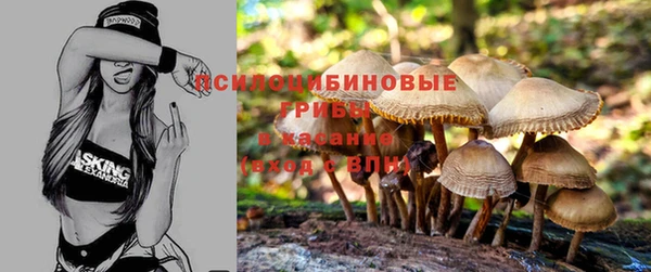 мдма Дмитров