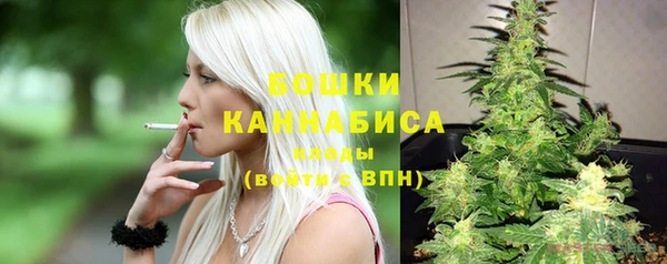 соль ск Дмитриев