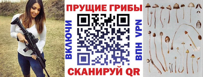 Галлюциногенные грибы ЛСД  Владикавказ 